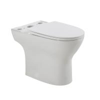 Чаша напольного унитаза c сиденьем BelBagno LOUNGE BB045CPR/SC