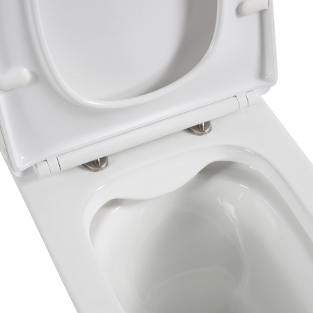 Чаша напольного унитаза c сиденьем BelBagno LOUNGE BB045CPR/SC