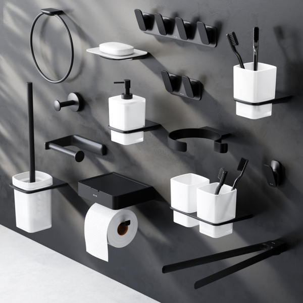 AM.PM A50A33422 Inspire V2.0, Стойка с туалетной щеткой, черный, шт