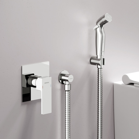 Damixa 537510000 Gala Смеситель монтируемый в стену с гиг.душем, хром